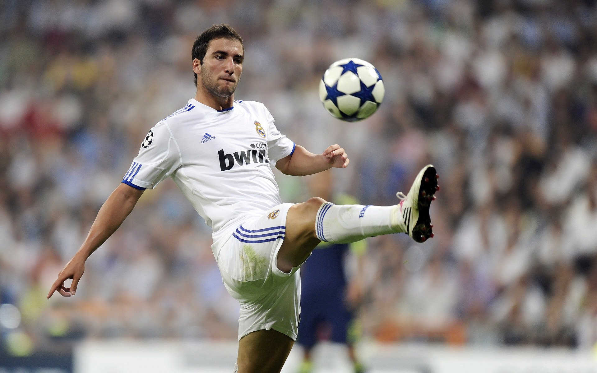 勇士队继续领跑联盟，冲击三连冠，勇士队内最新训练赛