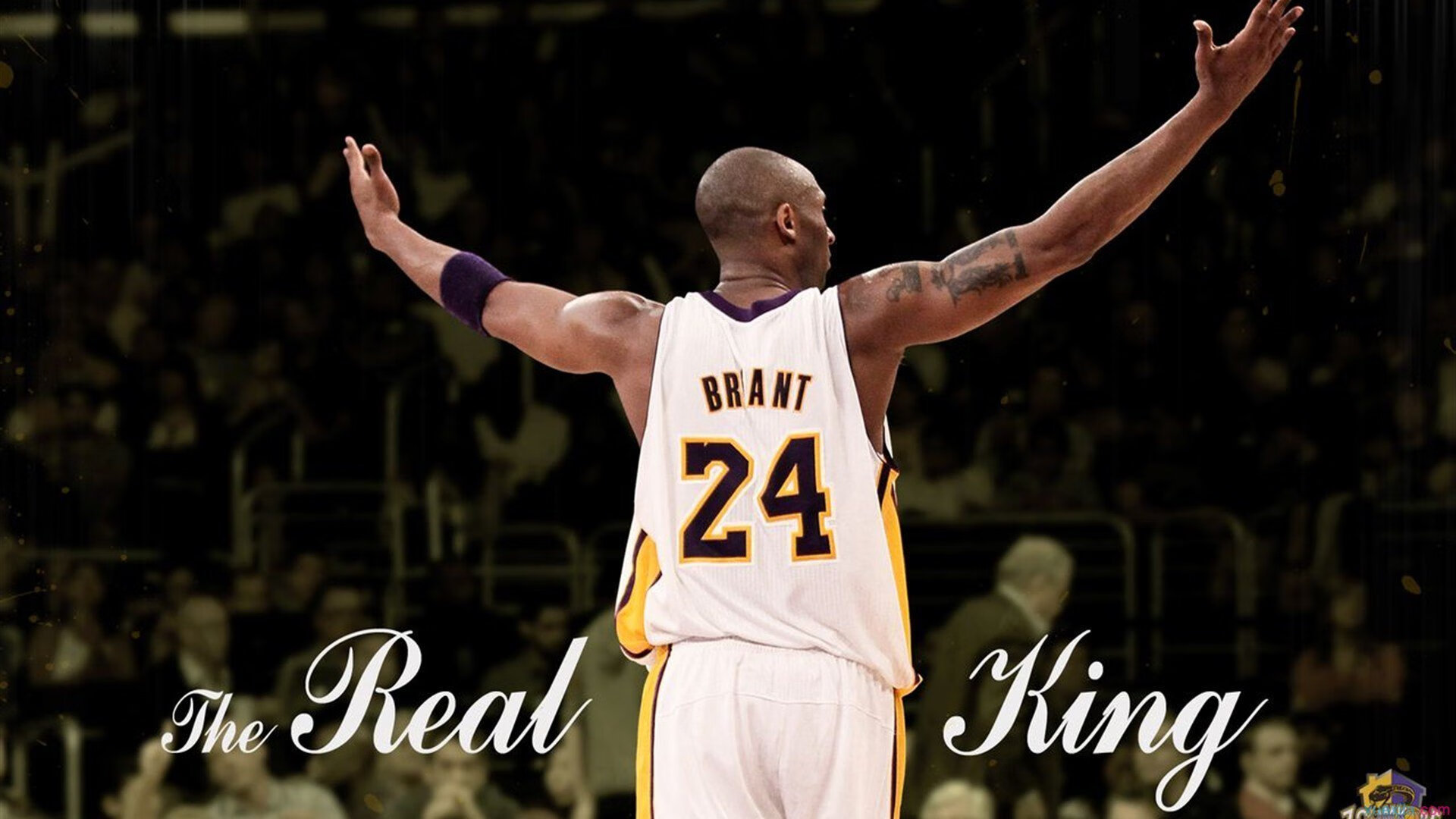 一拳通背!探秘中国武术通背拳的独门劲道,通背拳一路