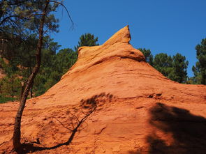 开云官网APP下载-一日英超动态阿莫林自信发声转会话题升温，阿莫子林